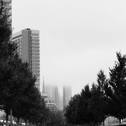 Photo #11822325