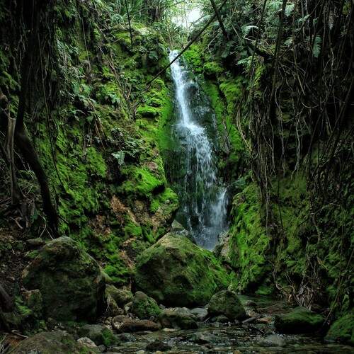 natural place