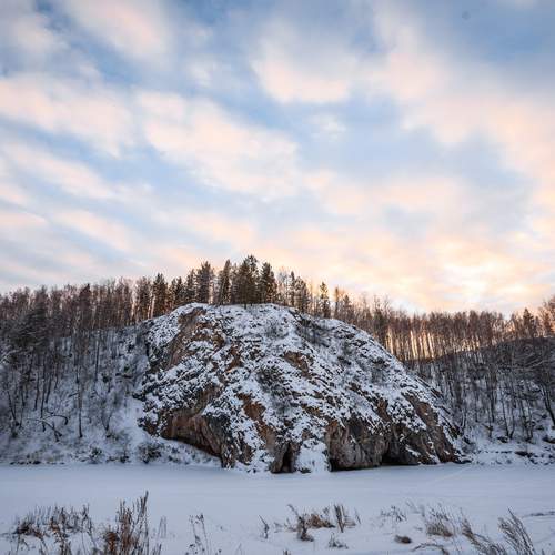 Photo #11822573