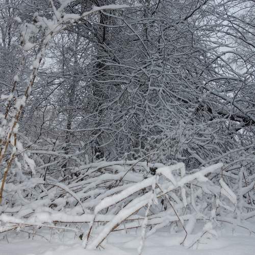 Photo #11822609