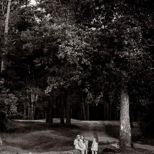 Photo #11822681