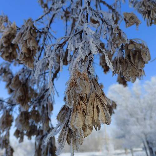 Photo #11822710