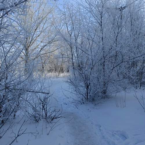 Photo #11822712