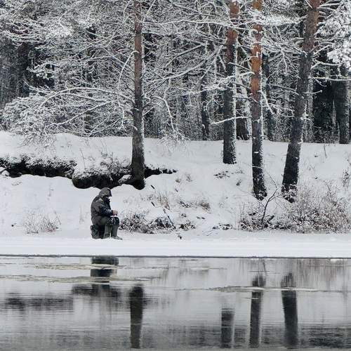 Photo #11822791