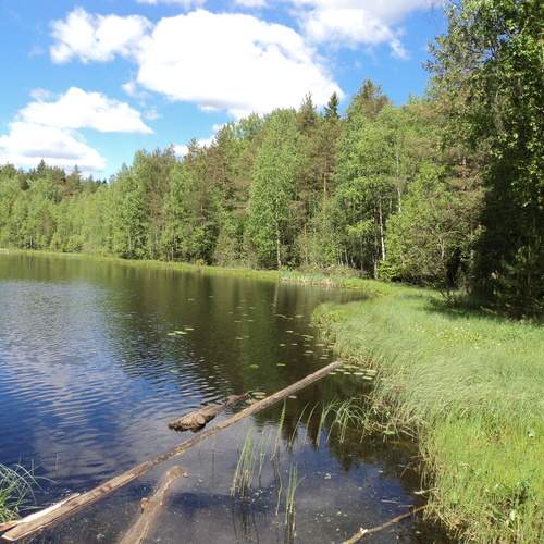 Photo #11822796