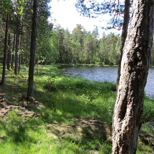 Photo #11822798