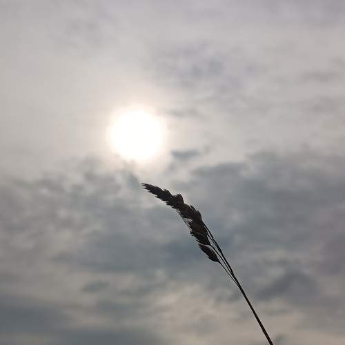 Photo #11823132