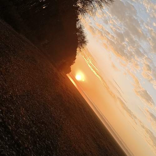 Photo #11823136