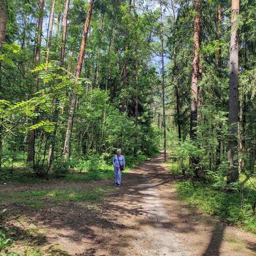 Photo #11823140