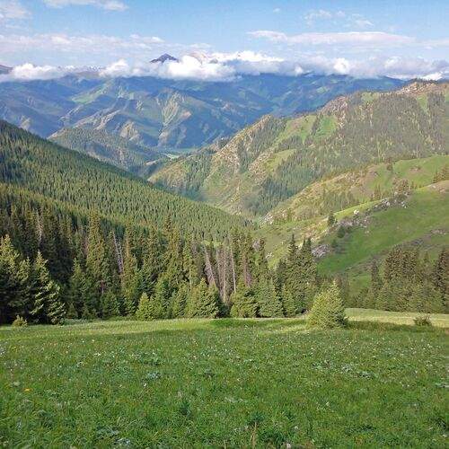 Photo #11823248