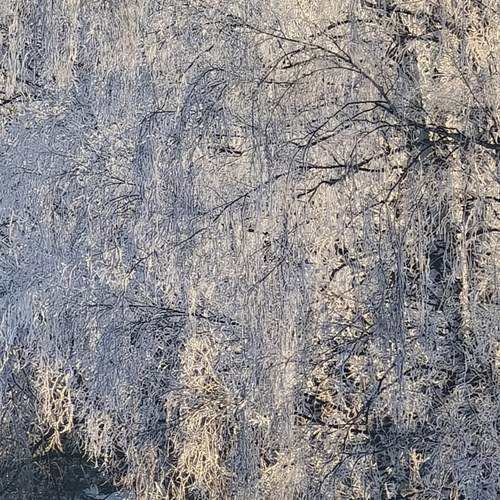 Photo #11823783