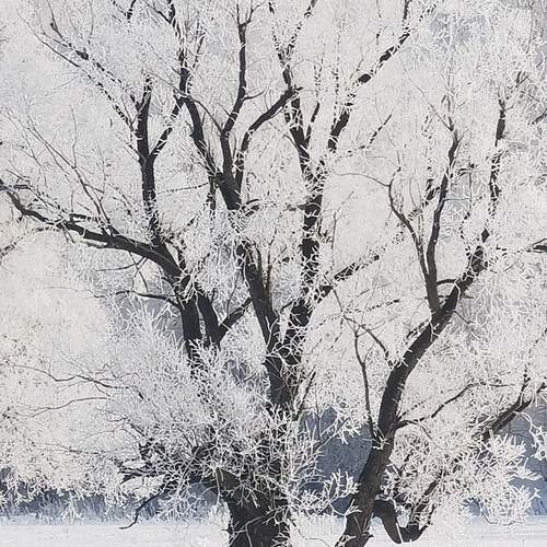 Photo #11823791