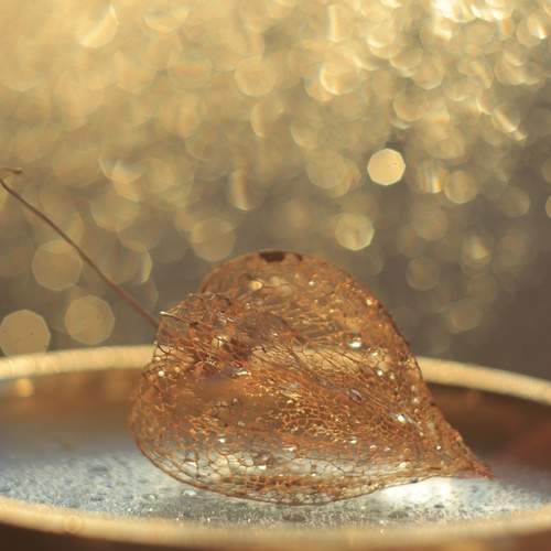 Photo #11823888
