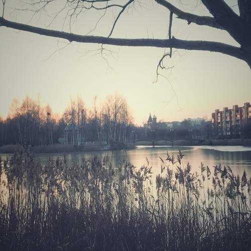 Photo #11823952