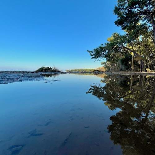 Photo #11824032