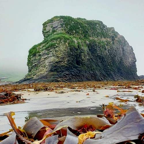 Photo #11824058