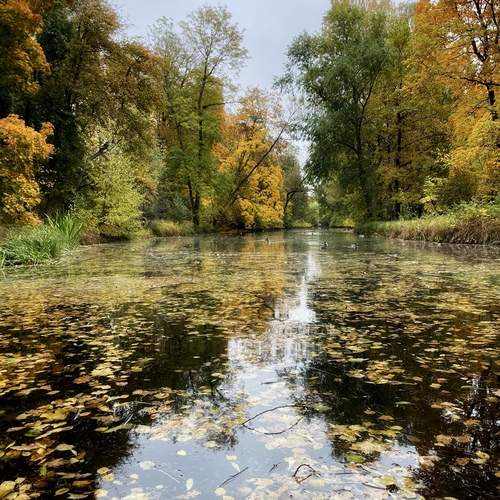Photo #11824077