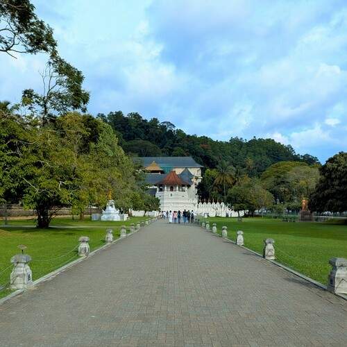 Photo #11824104