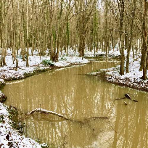 Photo #11824137