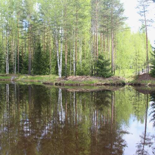 Photo #11824144
