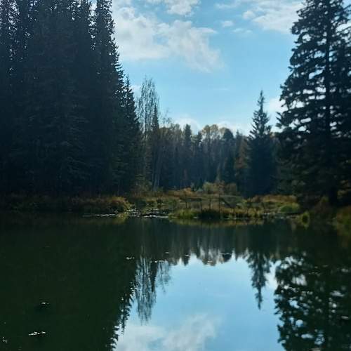 Photo #11824285