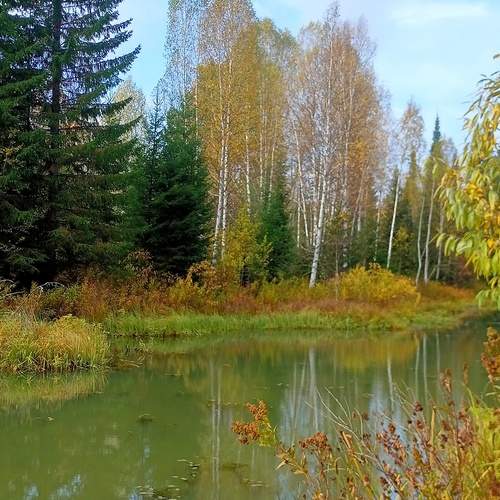 Photo #11824286
