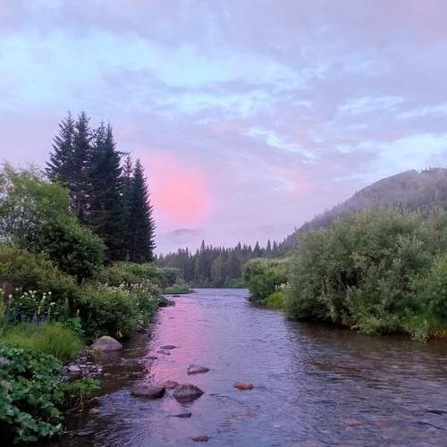 Photo #11824297