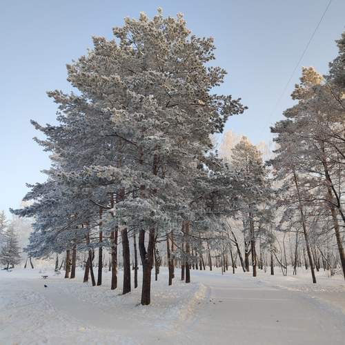 Photo #11824339