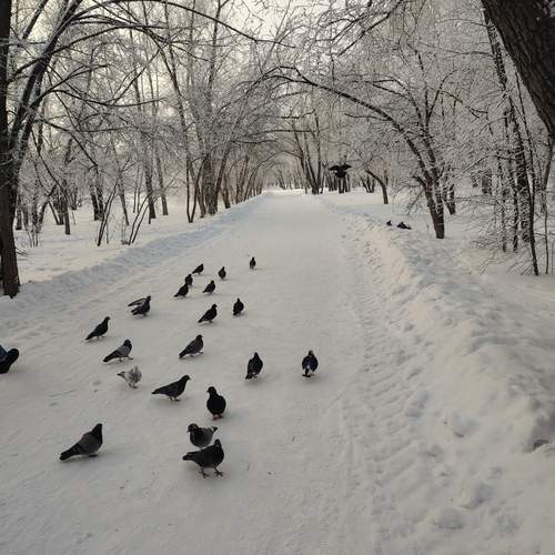 Photo #11824369