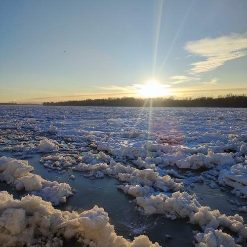 Photo #11824370