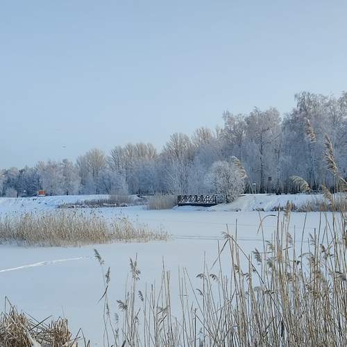 Photo #11824371