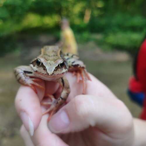 Photo #11824500