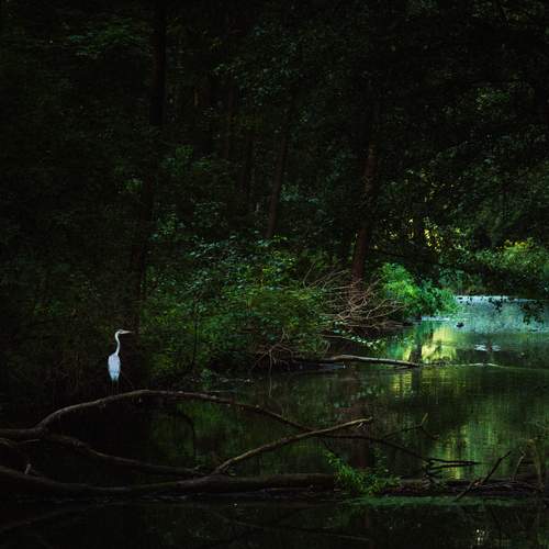 Photo #11824535