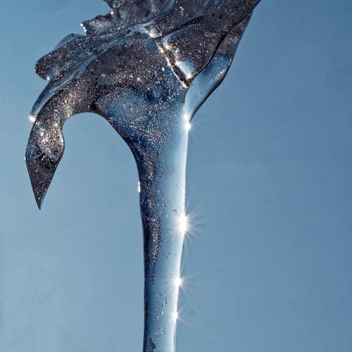 Photo #11824571