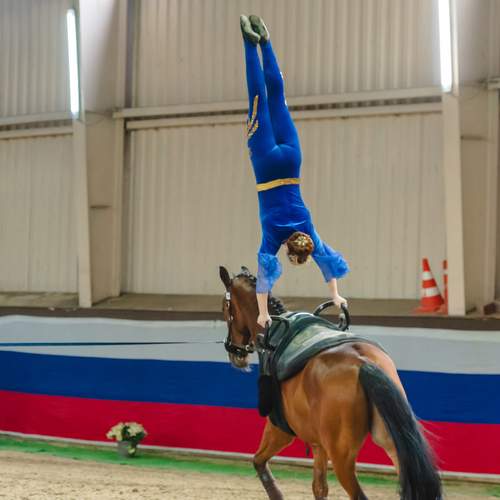 Photo #11824709