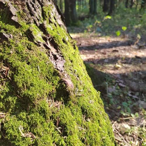 Photo #11824789