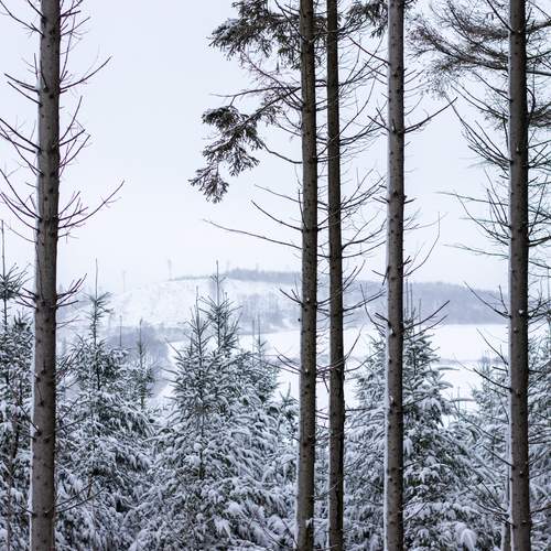 Photo #11824857