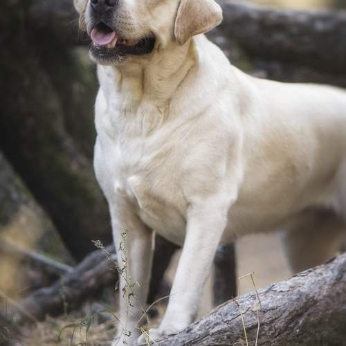 Photo #11824858