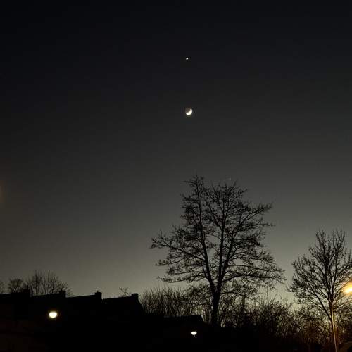 Photo #11824918