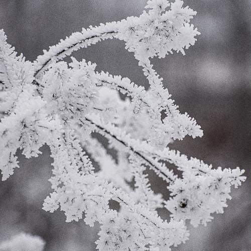 Photo #11824938
