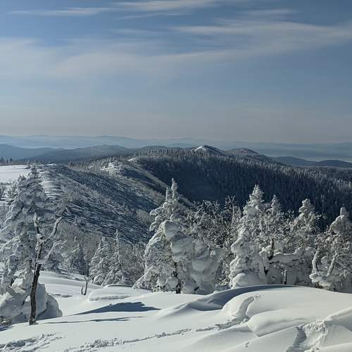 Photo #11825081