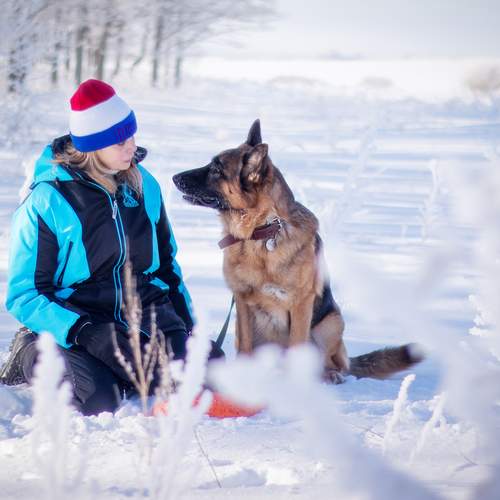 Photo #11825139