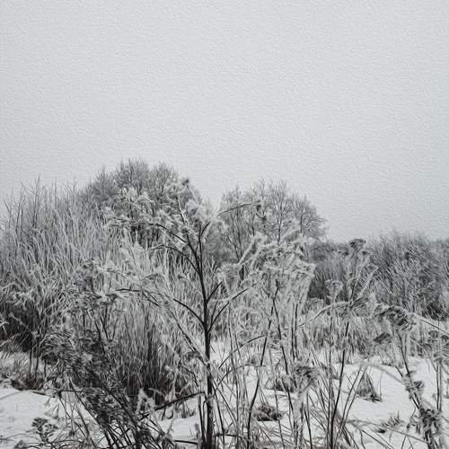 Photo #11825231