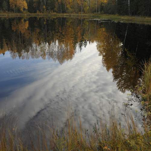Photo #11825378