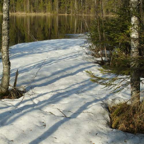 Photo #11825393