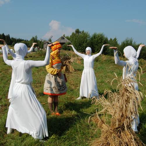 Photo #11825406