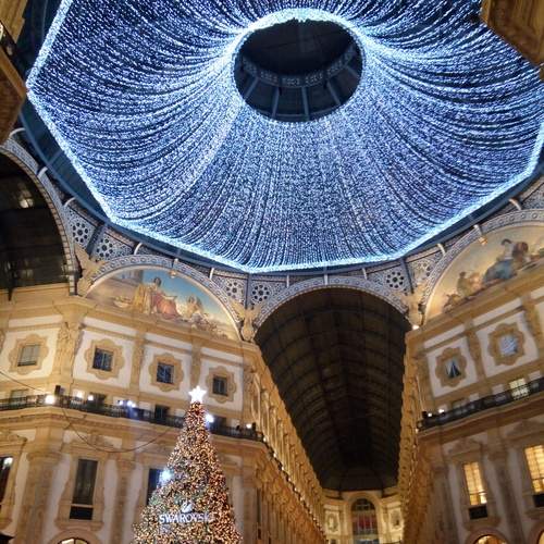 Photo #11825414