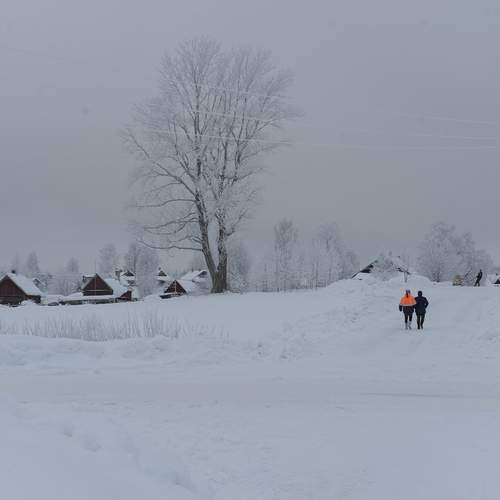 Photo #11825422