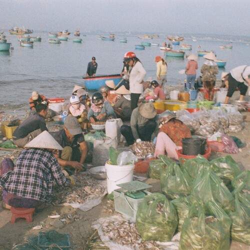 Photo #11825454
