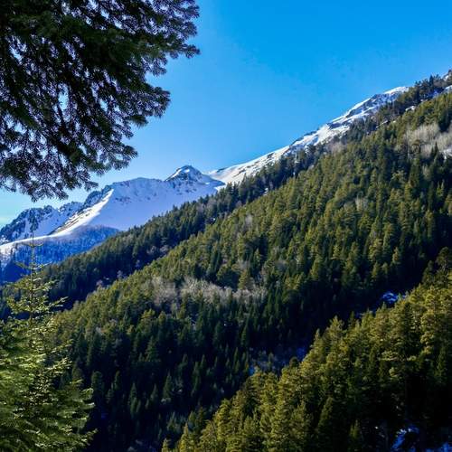 Photo #11825488